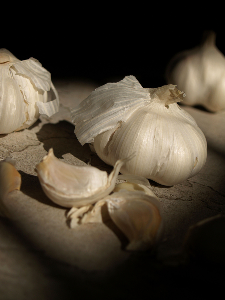 garlic-sebastian-mary-large