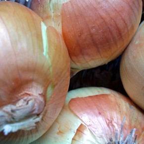 How to Pick Fresh Produce: Onions How to Pick Fresh Produce: Onions