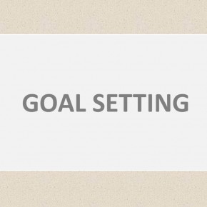 A Guide to Personal Goal Planning for 2013 A Guide to Personal Goal Planning for 2013